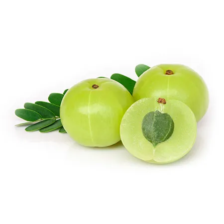 Indian Gooseberry (Amla) - Supports calcium absorption and Vitamin D levels