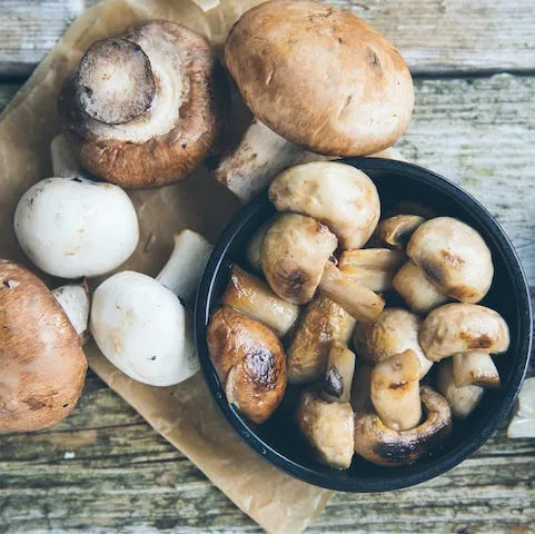 UV-exposed Mushrooms - The best Vitamin D rich vegetable source