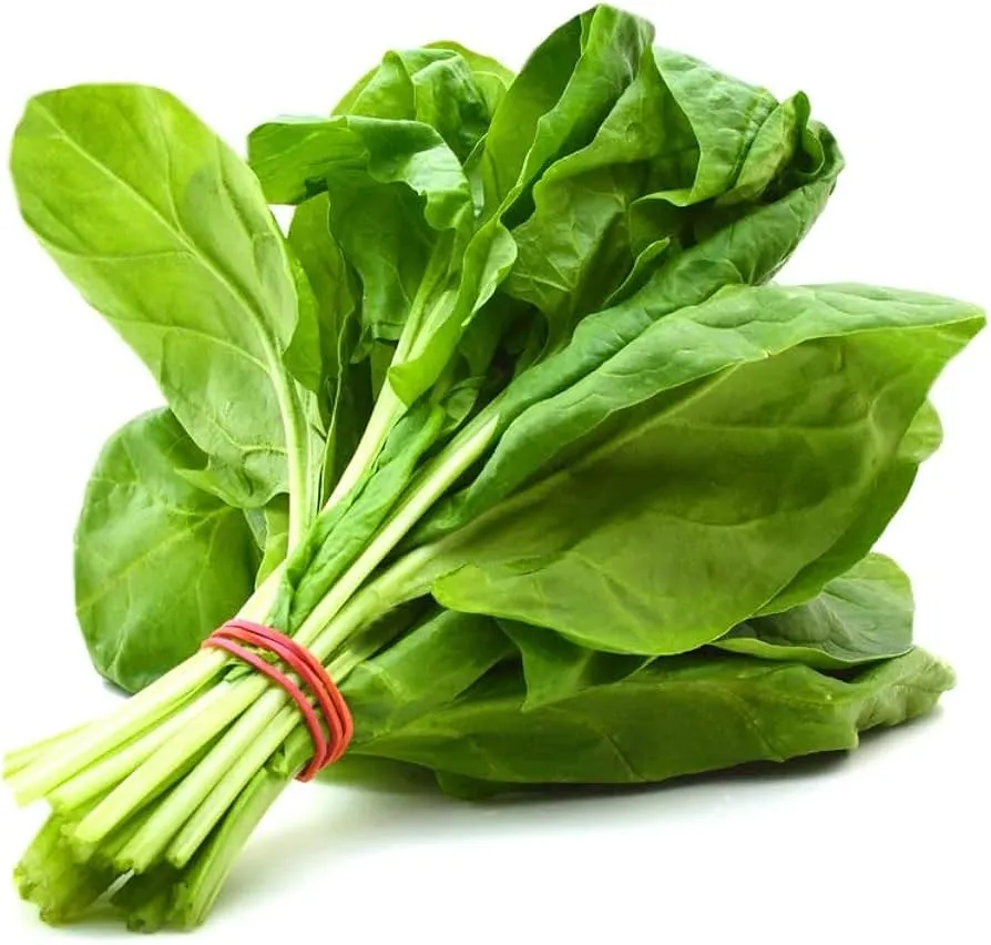 Spinach - A leafy green vegetable for Vitamin D and Calcium synergy