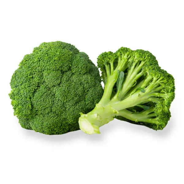 Broccoli - Nutrient-dense green vegetable with Vitamin D benefits