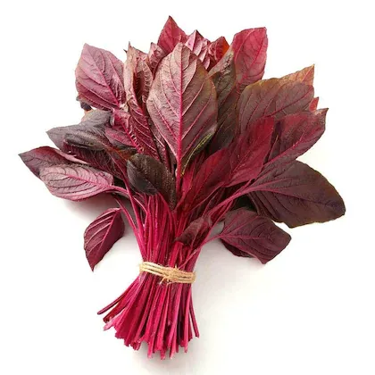 Amaranth Leaves (Chaulai) - Local Indian source of Vitamin D and Iron