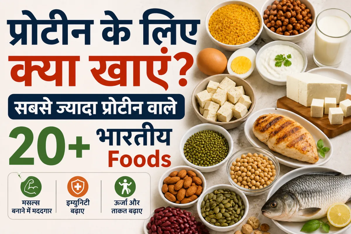 सबसे ज्यादा प्रोटीन किसमें होता है? Vegetarian, Non-Veg और Vegan लोगों के लिए Protein-Rich Foods की पूरी लिस्ट