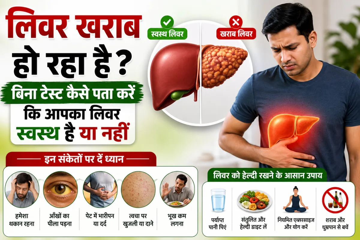 Liver खराब हो रहा है? बिना टेस्ट घर बैठे कैसे पहचानें शुरुआती संकेत और कब कराएं जांच