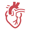 Cardiology Icon